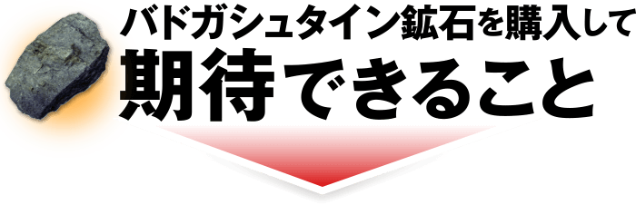 バドガシュタイン鉱石を購入して気体できること