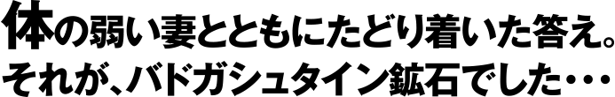 身体の弱い妻とともにたどり着いた答え