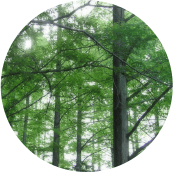 空気を変える バドガシュタイン鉱石イメージ