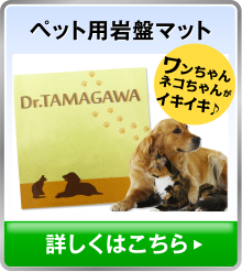 ペット用玩具マット、詳しくはこちら